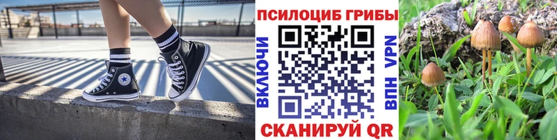 хочу   Кохма  Галлюциногенные грибы мухоморы 