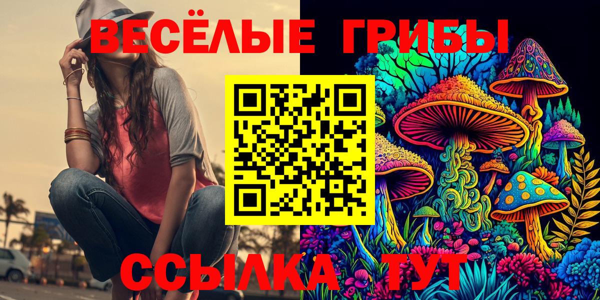 Кохма  Псилоцибиновые грибы Psilocybine cubensis  закладки  Вход с VPN 